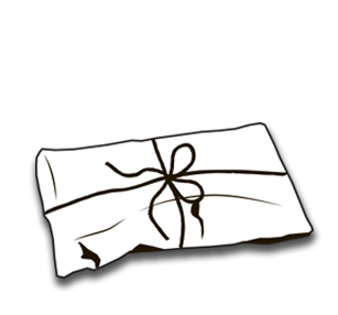 tine wrapped package icon